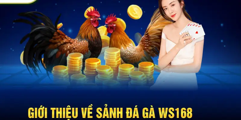 CÁC BƯỚC THAM GIA CÁ CƯỢC TẠI WS168